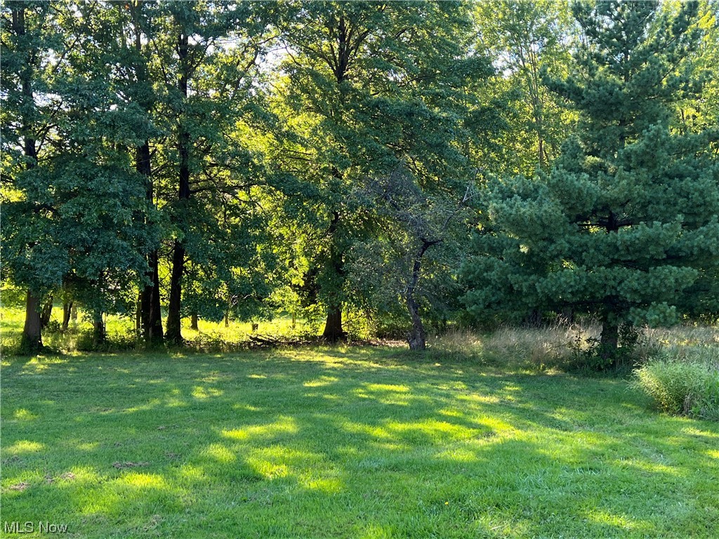 3191 Ninety Road Ashtabula, OH 44004 - Photo 21 of 22 View of yard