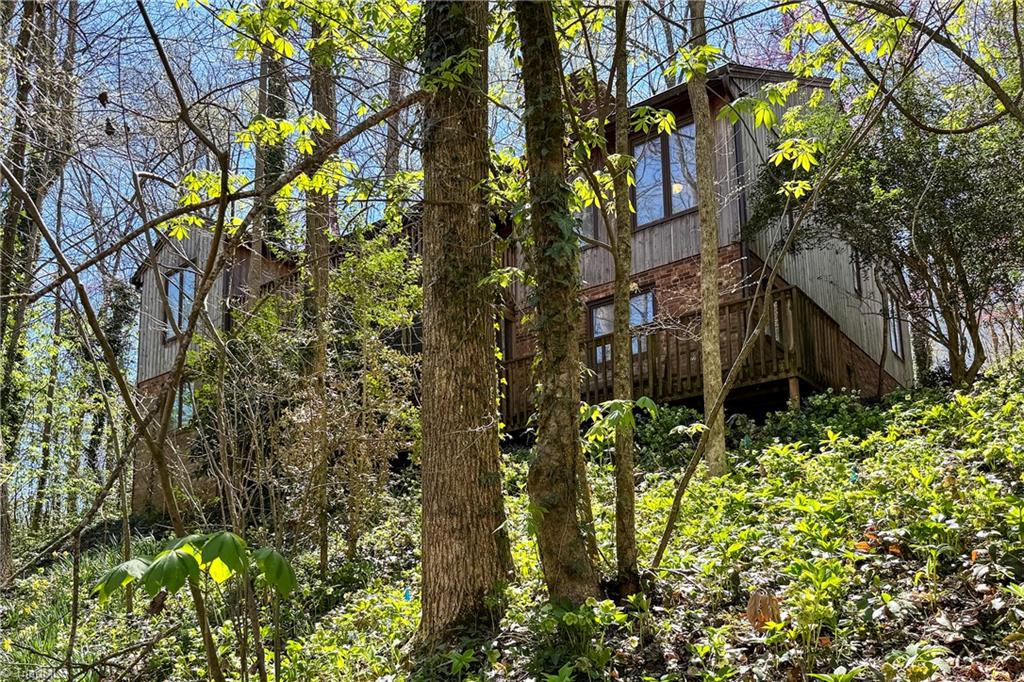 209 River Road Advance, NC 27006 - Photo 1 of 30