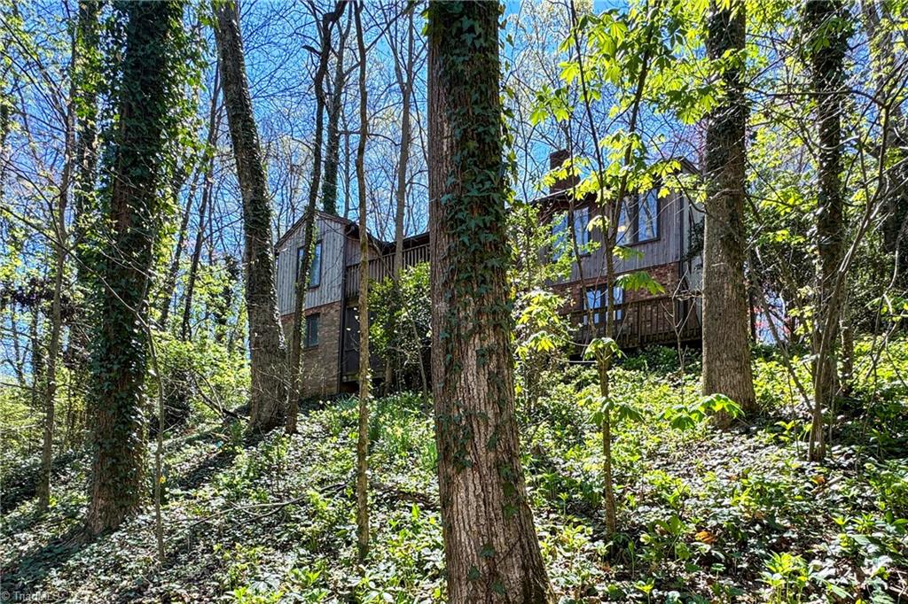 209 River Road Advance, NC 27006 - Photo 5 of 30