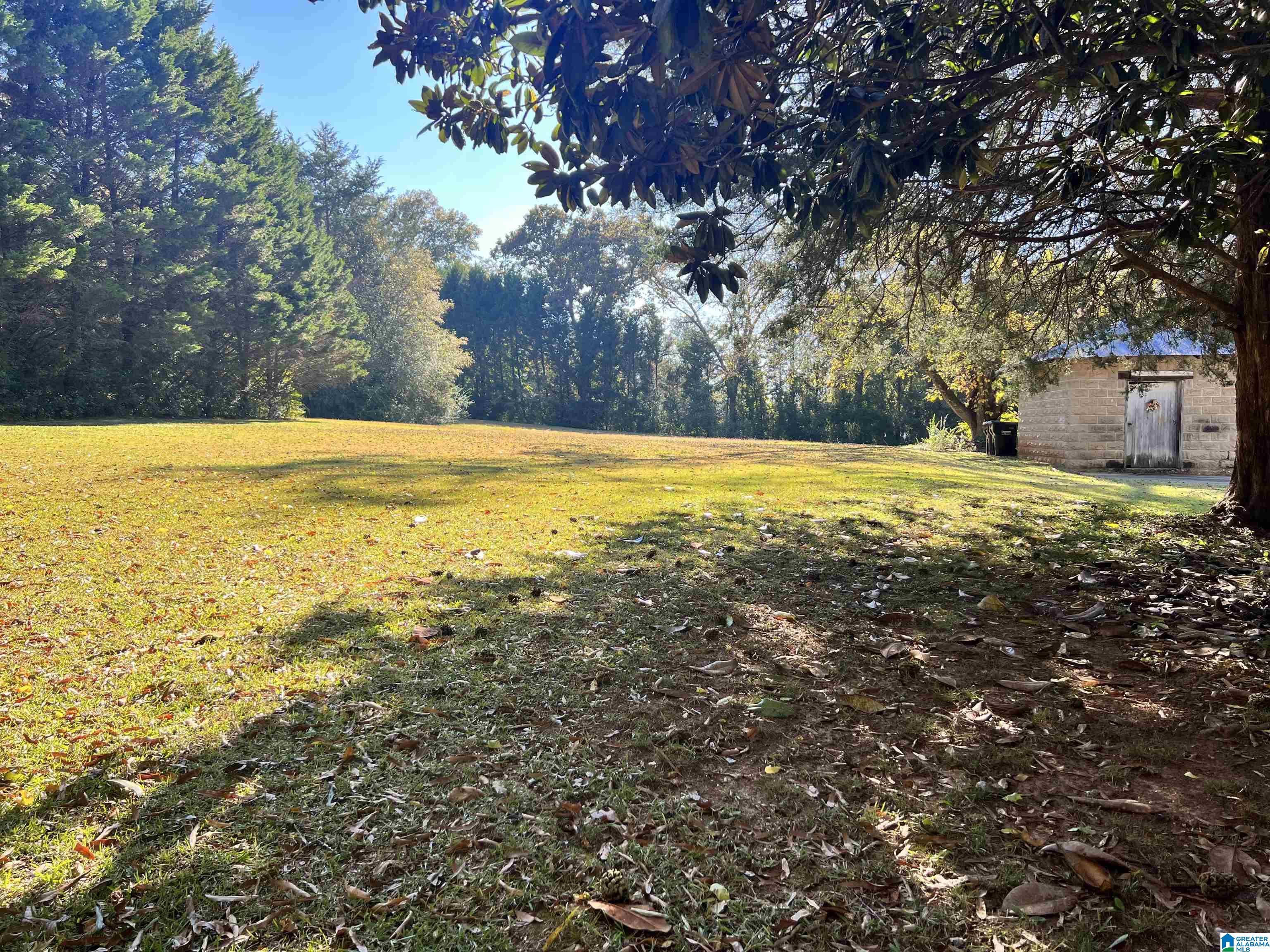 1429 Main Street Roanoke, AL 36274 - Photo 39 of 42