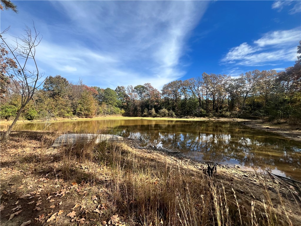 840 Miller Road Ola, AR 72853 - Photo 2 of 23 Water view featuring a heavily wooded area