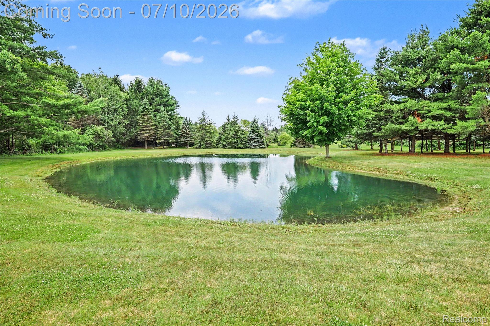 2180 Hurst Road St. Clair, MI 48079 - Photo 33 of 39 Private pond surrounded by mature evergreen and deciduous trees, featuring a grassy bank and natural landscaping