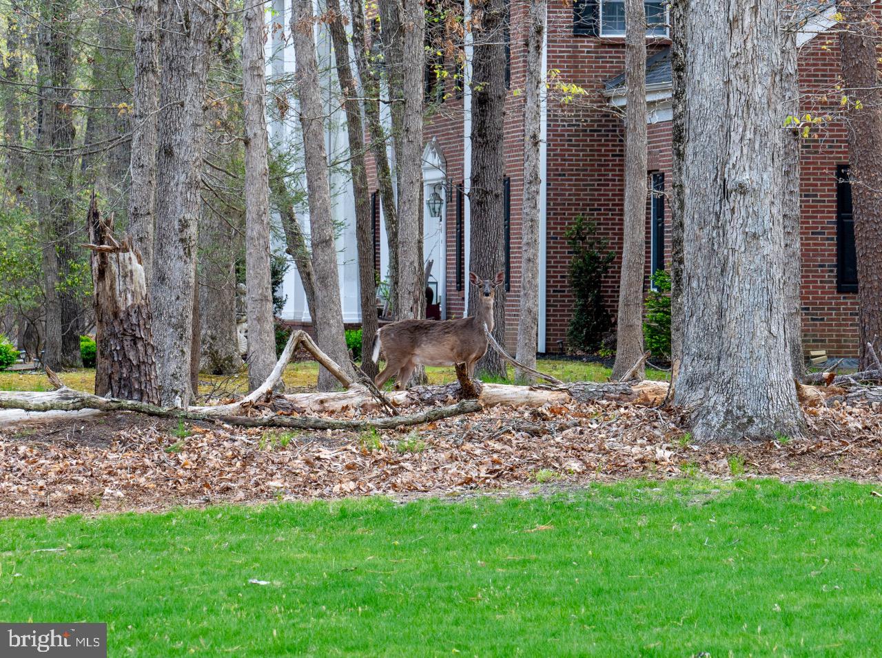 17 Red Oak Drive Tabernacle, NJ 08088 - Photo 45 of 45 a view of a backyard with plants and a fountain