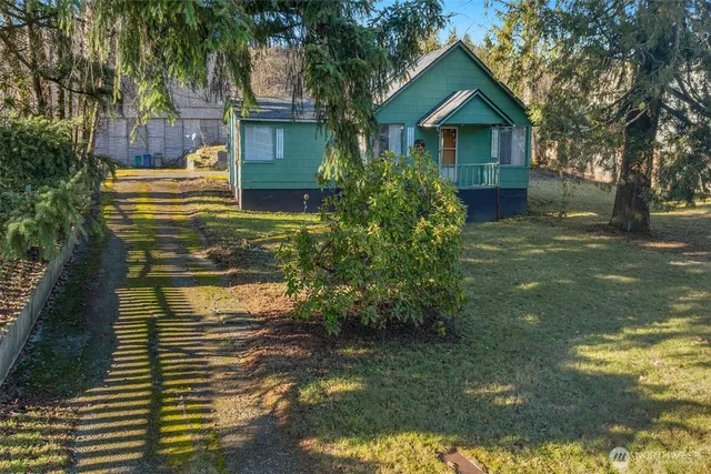 a view of backyard with tree