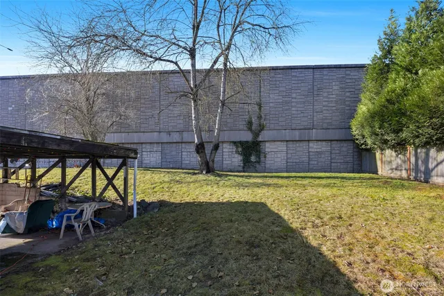 a view of a yard with plants and large trees