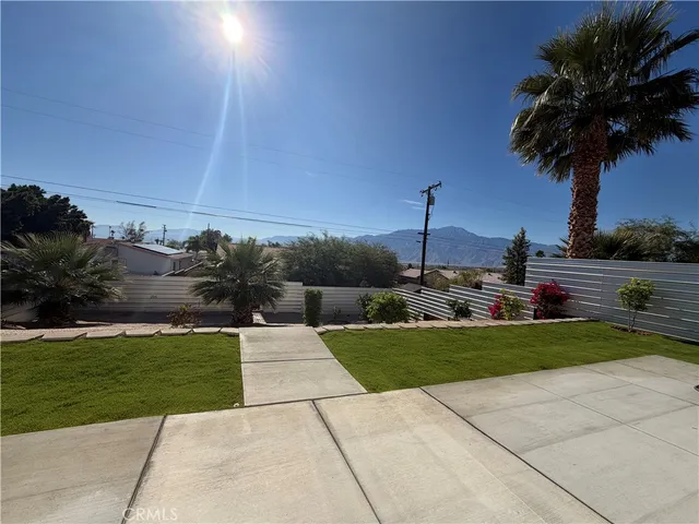 a view of a garden with potted plants