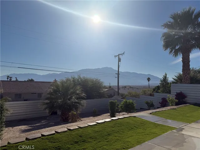 a view of a garden with a tree