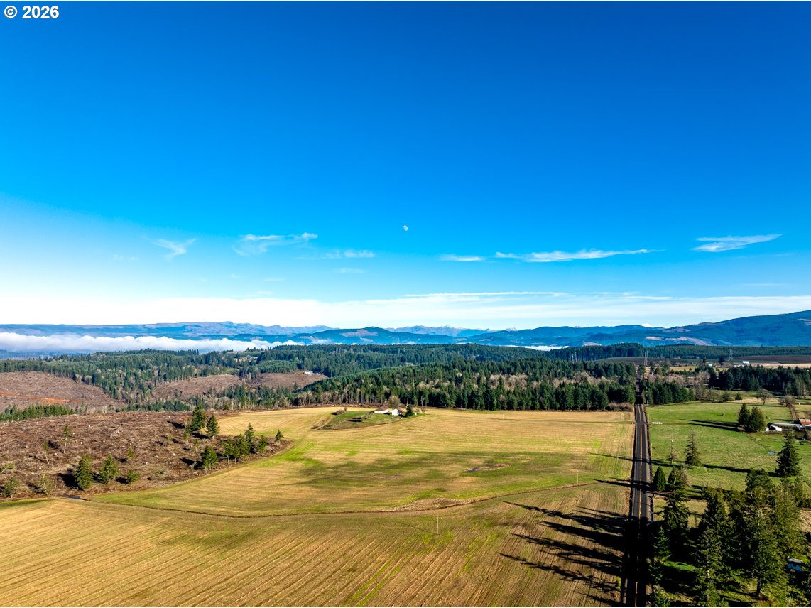 42172 Rodgers Mountain Loop Scio, OR 97374 - Photo 46 of 48
