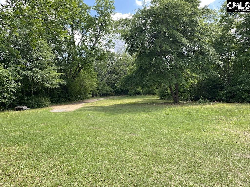 967 Clay Hill Road Pelion, SC 29123 - Photo 11 of 13