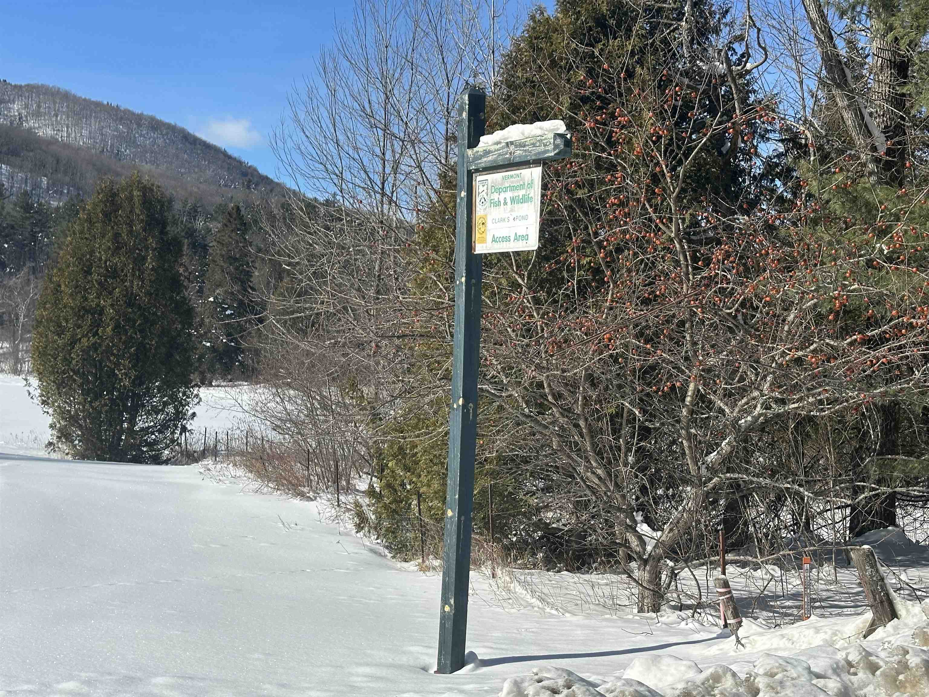 9 Dry Pond Road Glover, VT 05839 - Photo 16 of 19