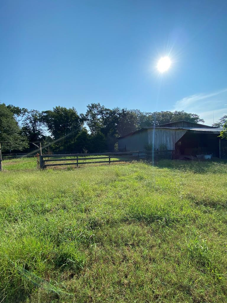 594 Casey Mill Road Dudley, NC 28333 - Photo 25 of 31 Gallery Image 25
