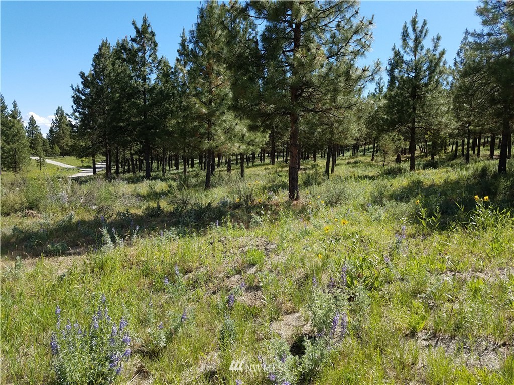 26145 Union Valley Road Chelan, WA 98816 - Photo 14 of 14 Gallery Image 14