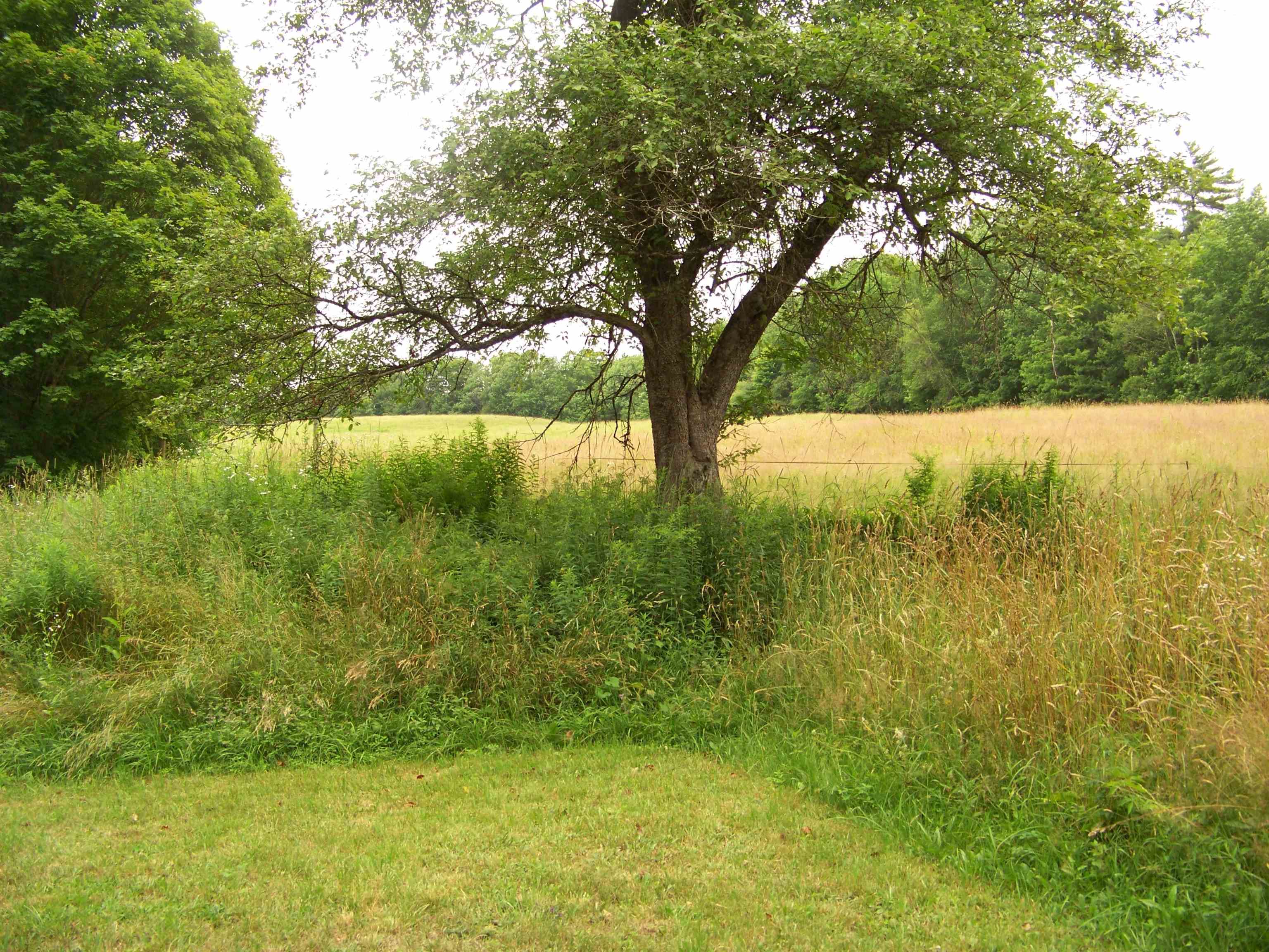 340 Upper Michigan Road Pittsfield, VT 05762 - Photo 5 of 18 Gallery Image 5