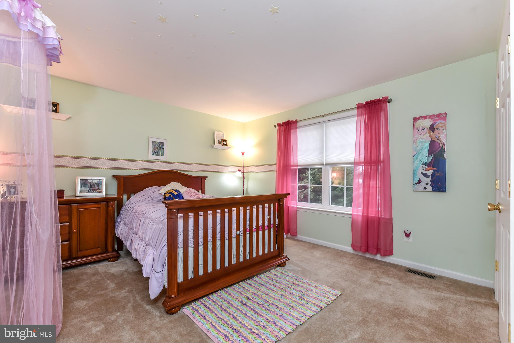 256 Harrisville Road Colora, MD 21917 - Photo 11 of 21 Bedroom 2