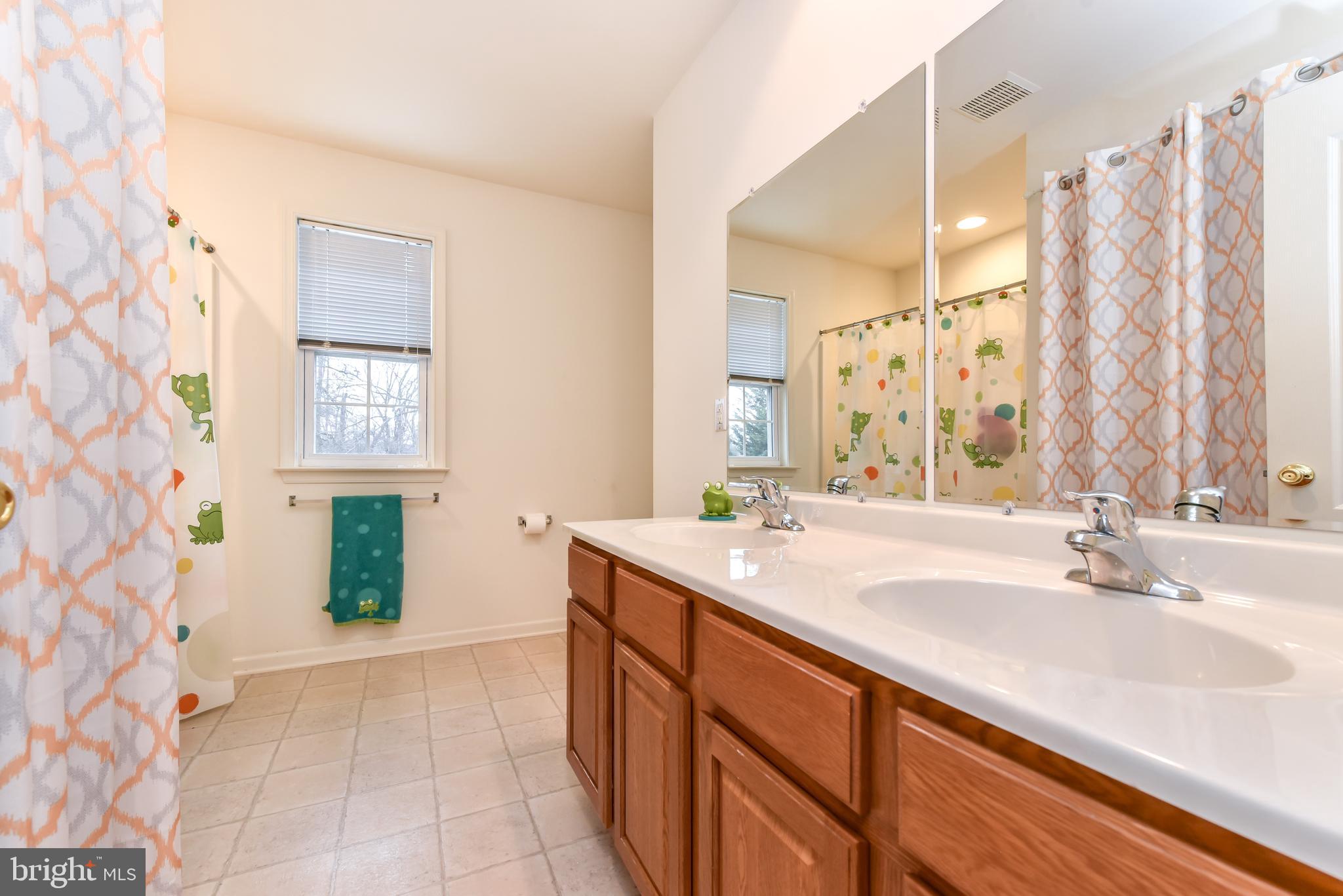 256 Harrisville Road Colora, MD 21917 - Photo 14 of 21 Bathroom 2