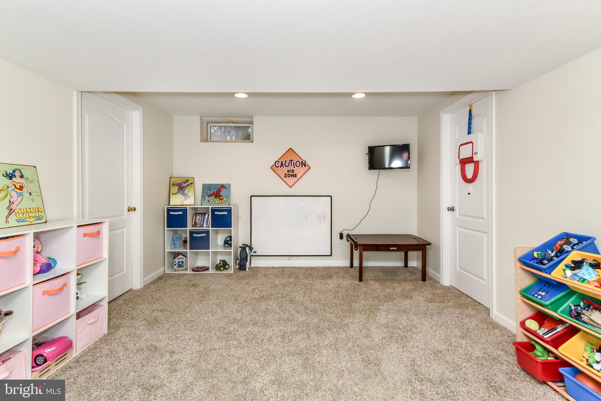 256 Harrisville Road Colora, MD 21917 - Photo 17 of 21 Basement