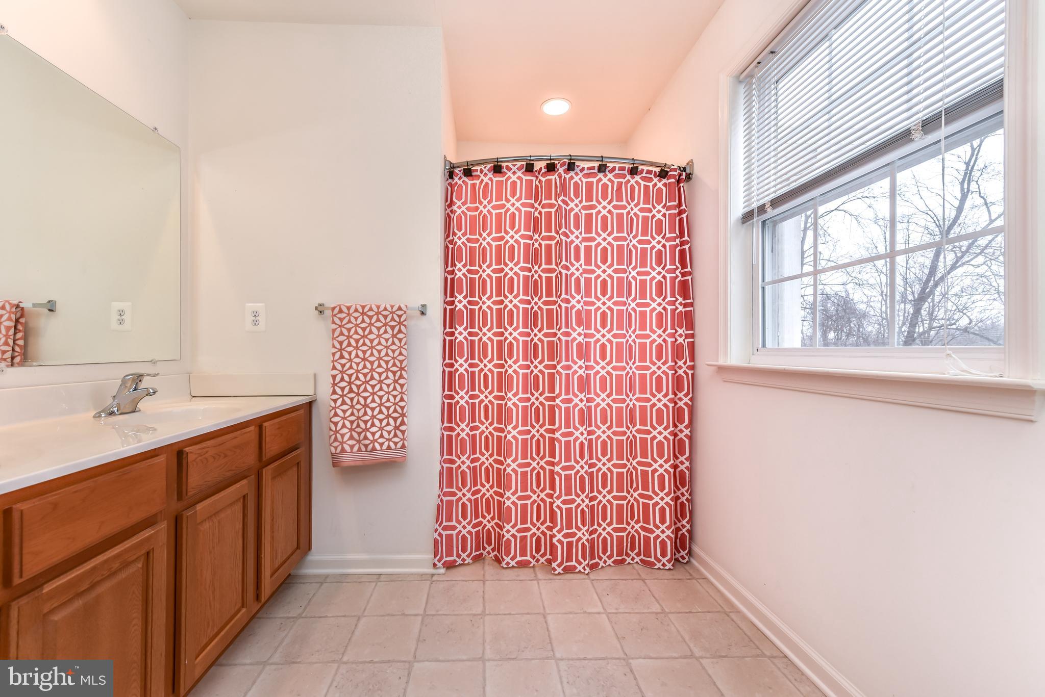256 Harrisville Road Colora, MD 21917 - Photo 10 of 21 Master Bathroom