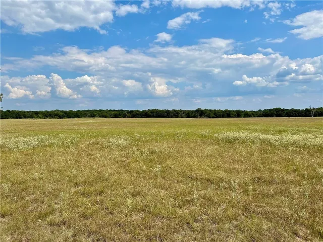 a view of a lake from a yard
