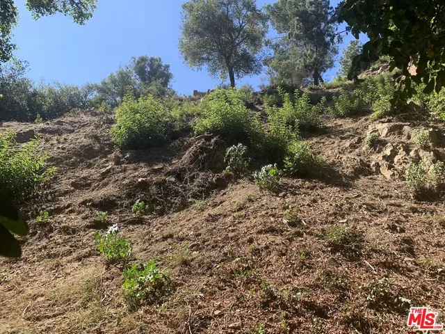 a view of a large yard with lots of green space
