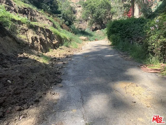 a view of a yard with plants and trees