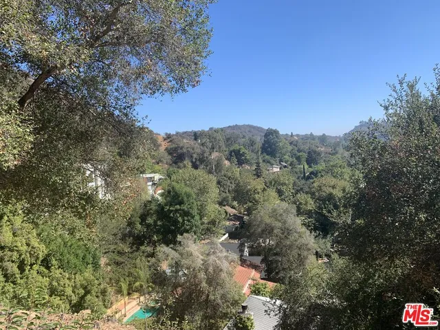 a view of a forest with a mountain in the background