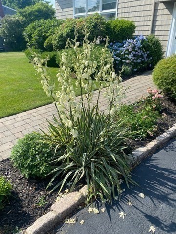 8 Summit View Drive Swampscott, MA 01907 - Photo 5 of 37