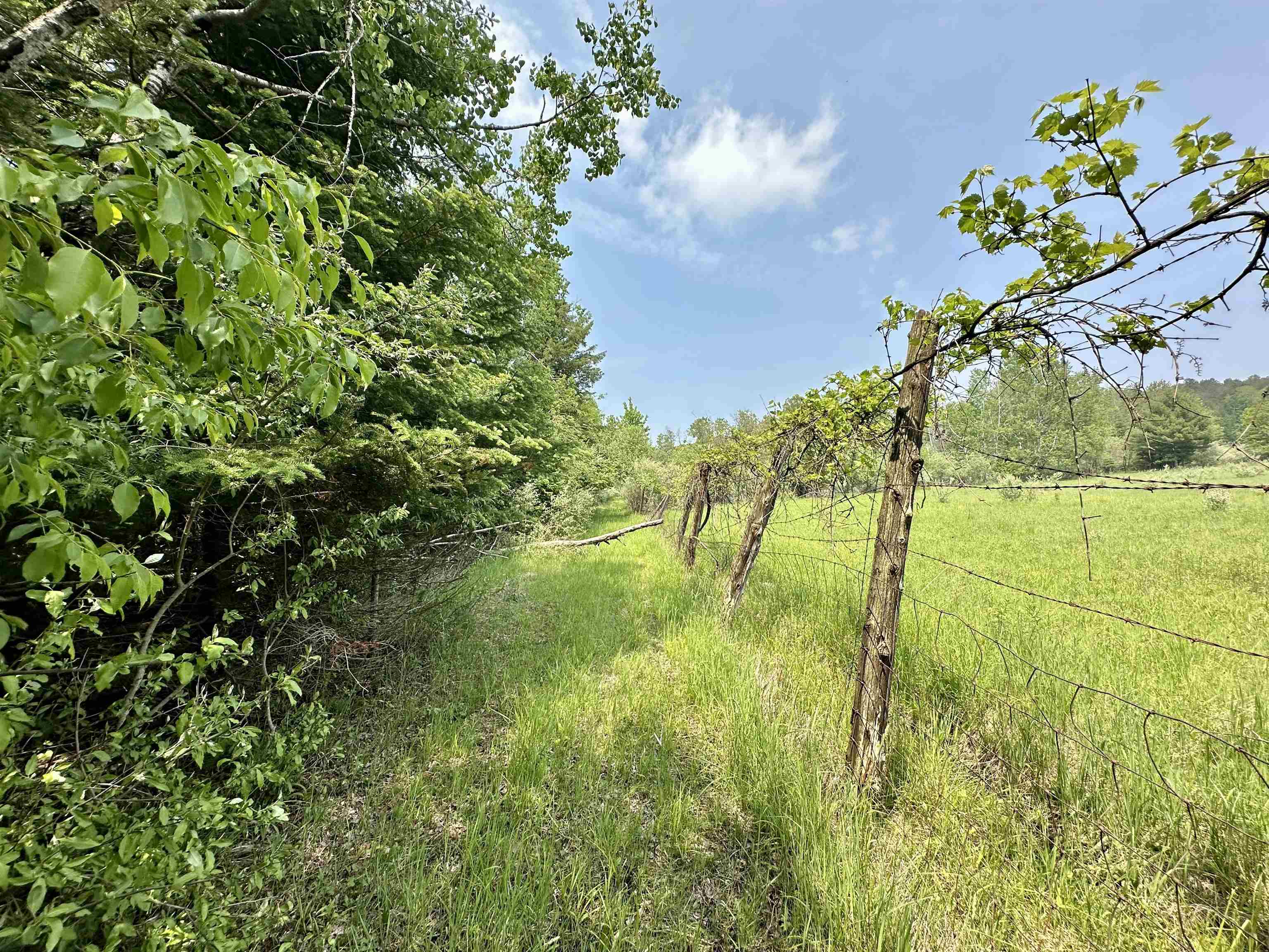 90-acres East Otto Road Suttons Bay, MI 49682 - Photo 43 of 68 Gallery Image 43