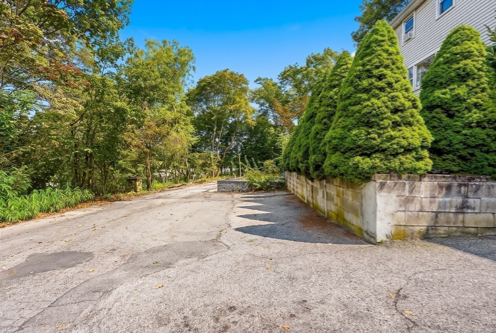24 College Farm Road Waltham, MA 02451 - Photo 25 of 31 Gallery Image 25