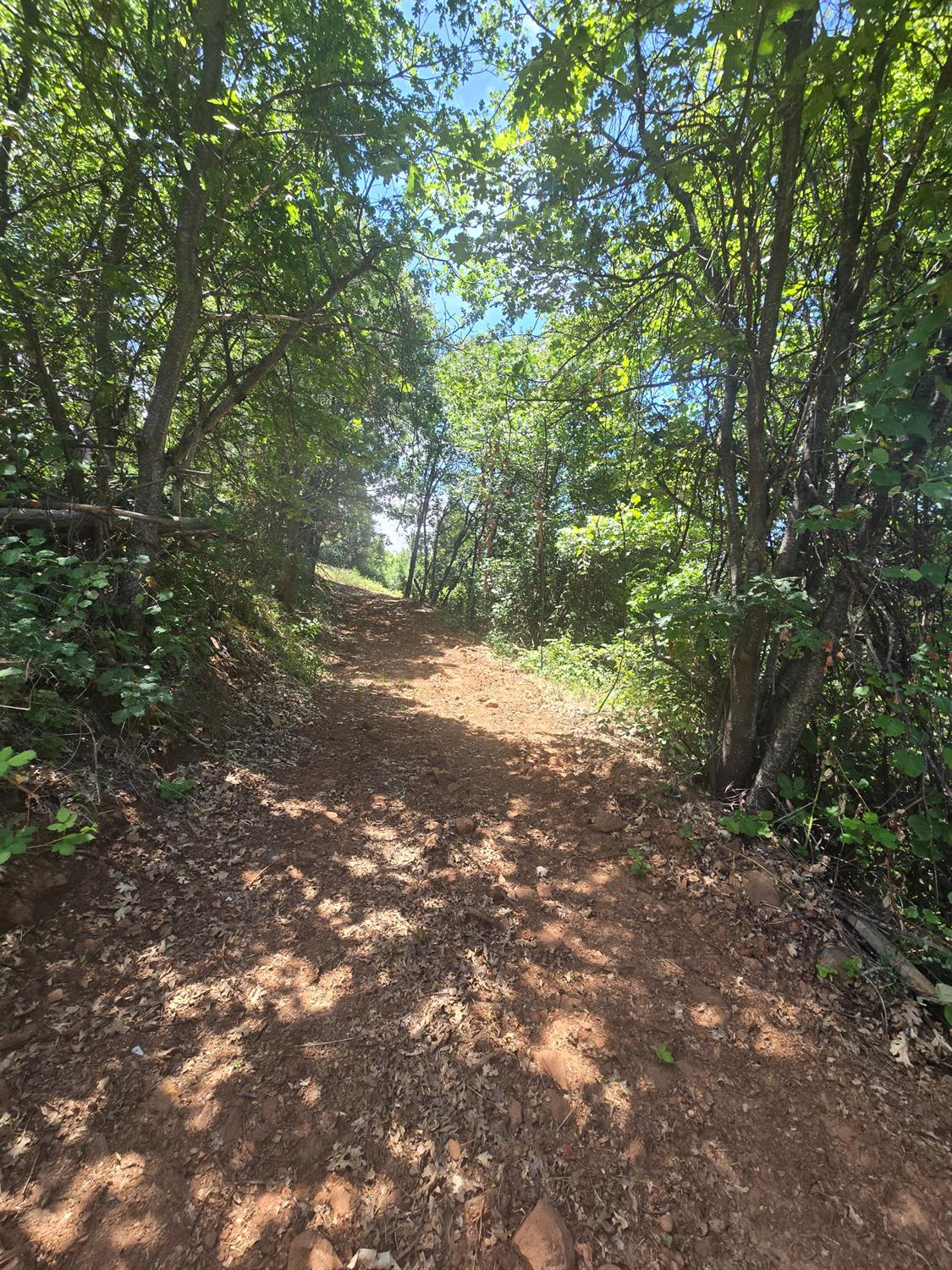0 Maple Springs Trail Dobbins, CA 95935 - Photo 8 of 22