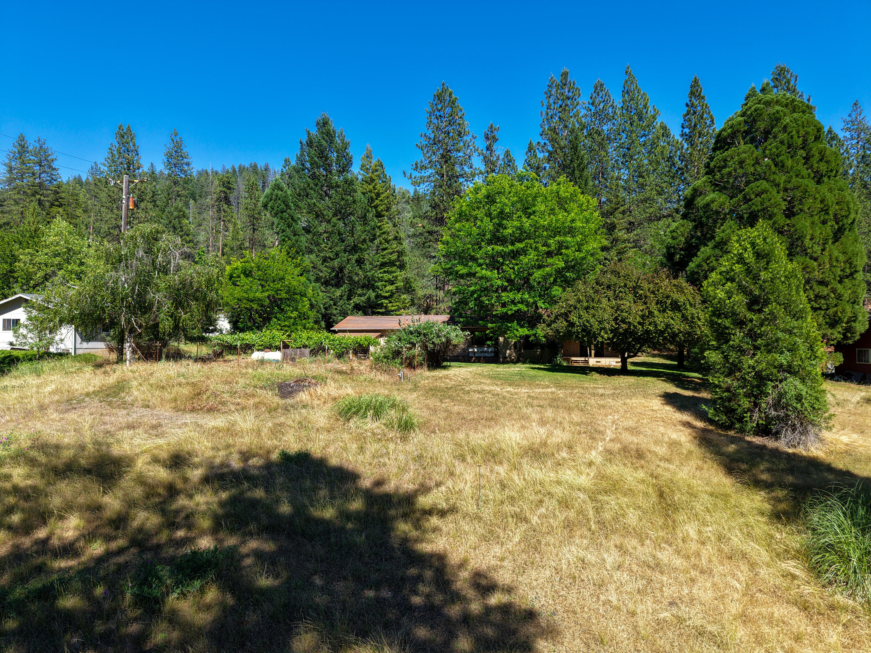181 Meadow Road Weaverville, CA 96093 - Photo 31 of 38 rear lot