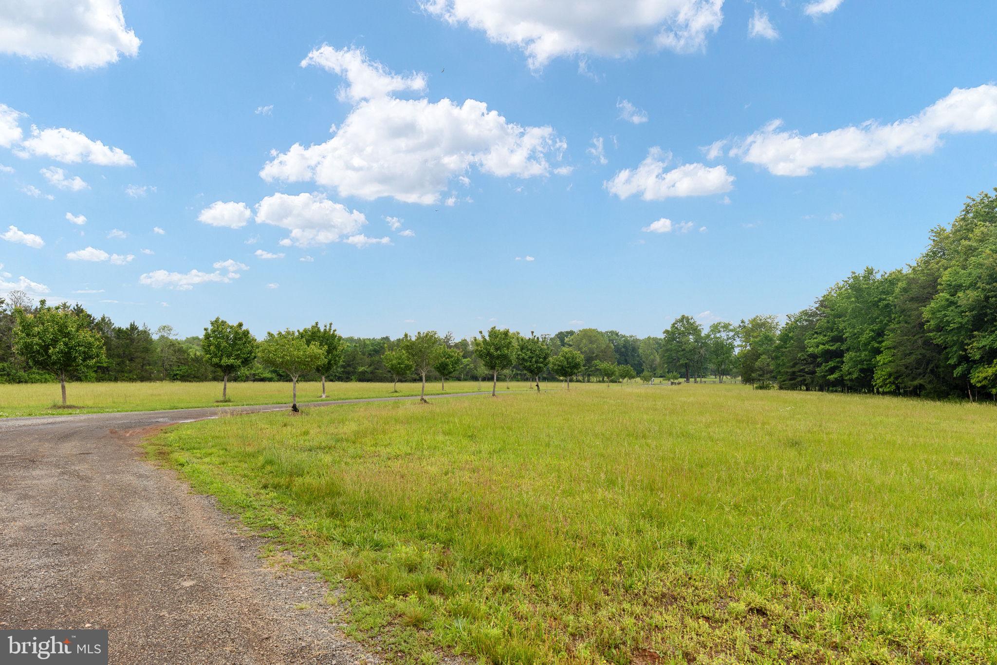 6119 Beach Road Midland, VA 22728 - Photo 58 of 98 a view of an ocean and a yard