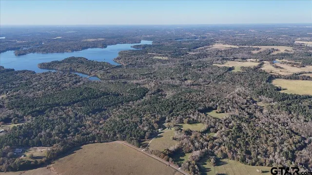 a view of a city with tall trees