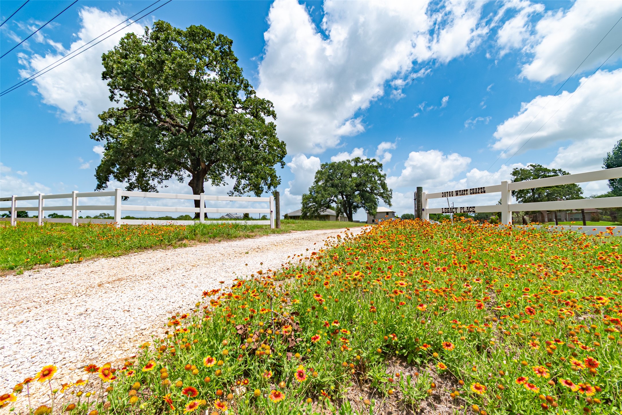 38766 Wyatt Chapel Road Hempstead, TX 77445 - Photo 2 of 45 A country setting featuring a gravel driveway lined with vibrant wildflowers.