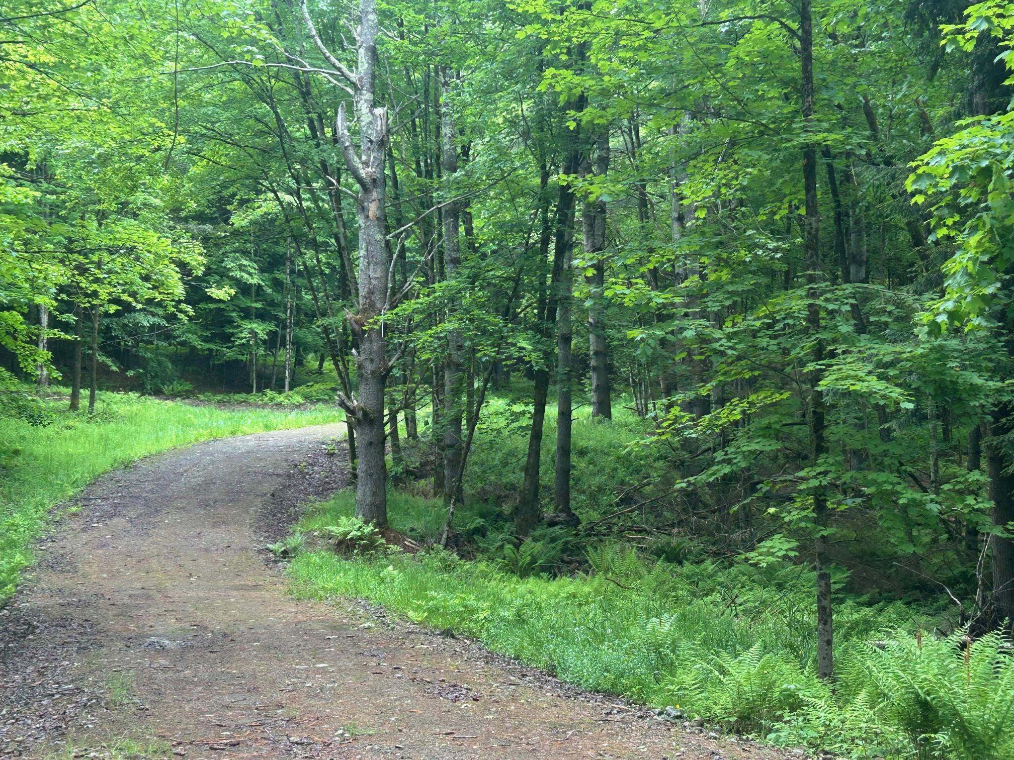 0 Rocky Road Johnson, VT 05656 - Photo 5 of 22