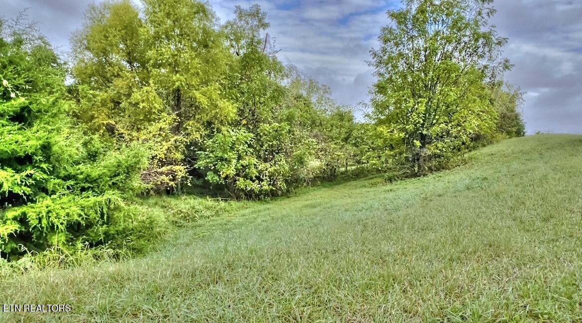 586 Russell Brothers Road Sharps Chapel, TN 37866 - Photo 11 of 30 Lot 586 Russell Brothers Rd