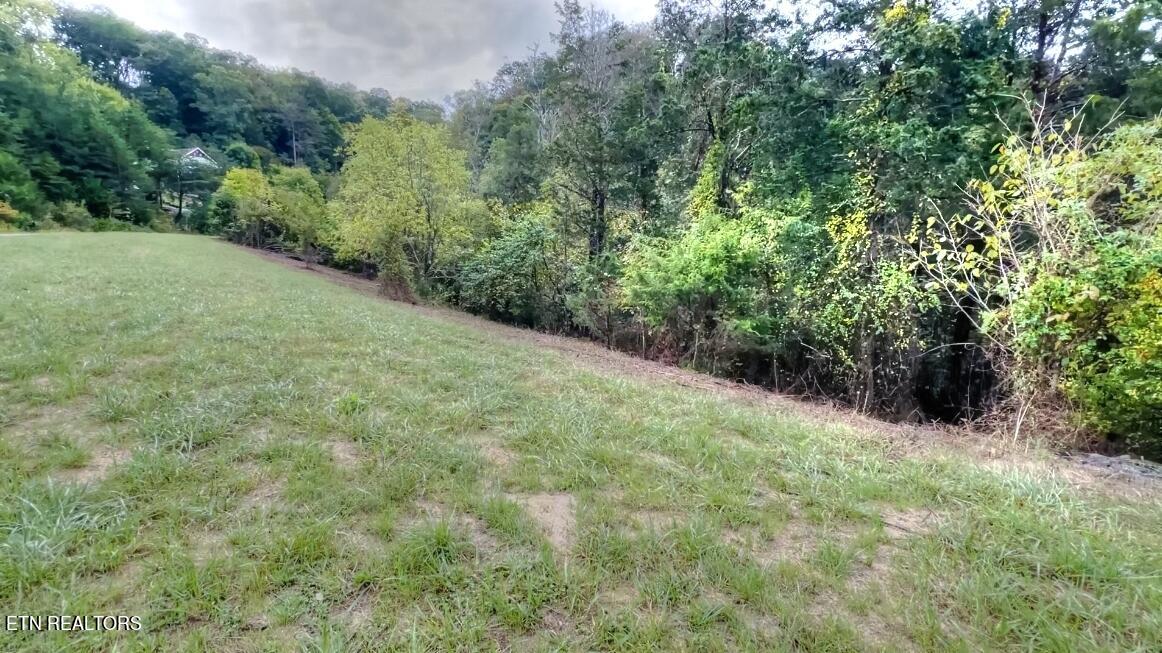 586 Russell Brothers Road Sharps Chapel, TN 37866 - Photo 8 of 30 Lot 586 Russell Brothers Rd