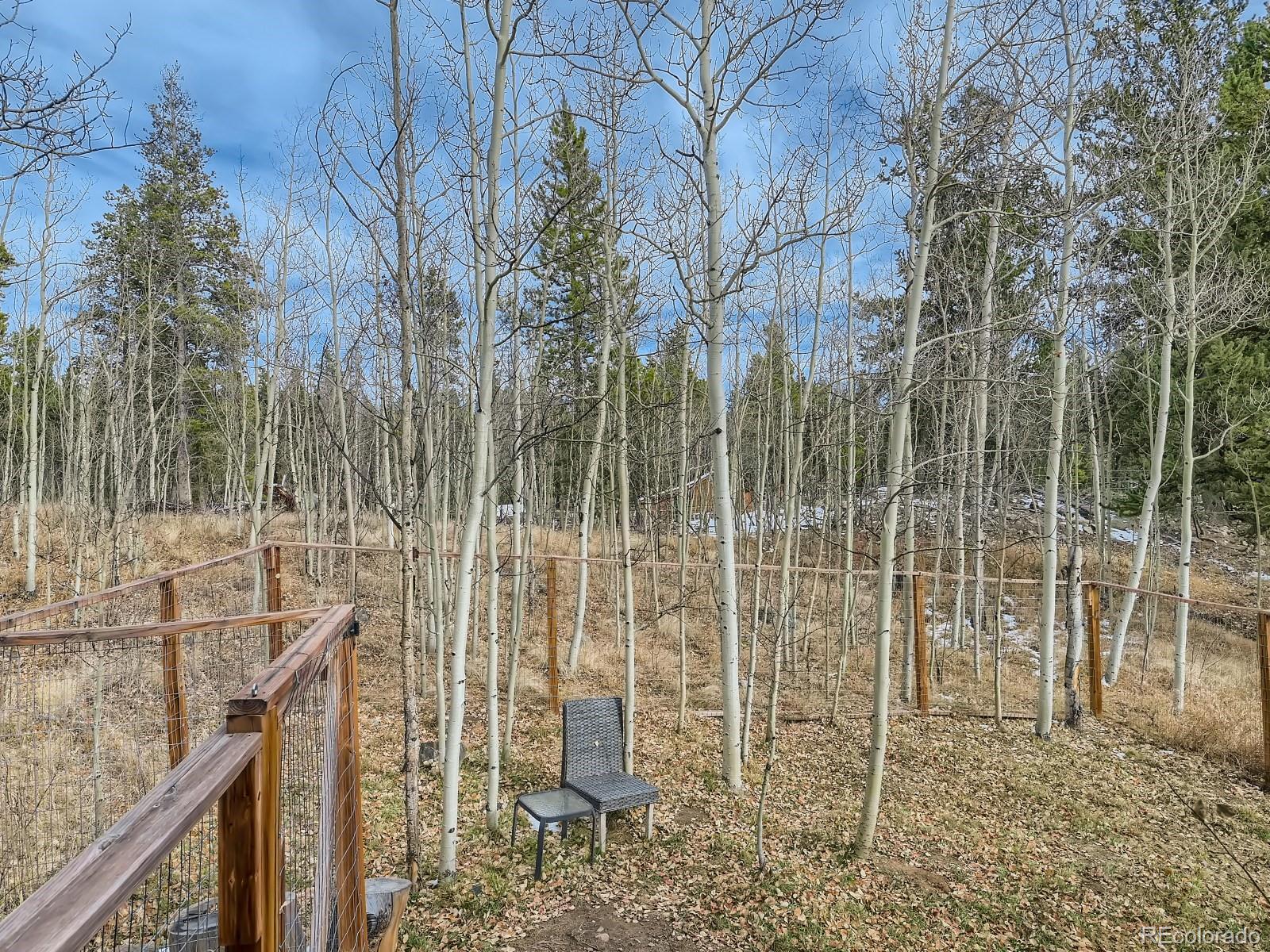 327 Quarry Road Fairplay, CO 80440 - Photo 20 of 28 Gallery Image 20