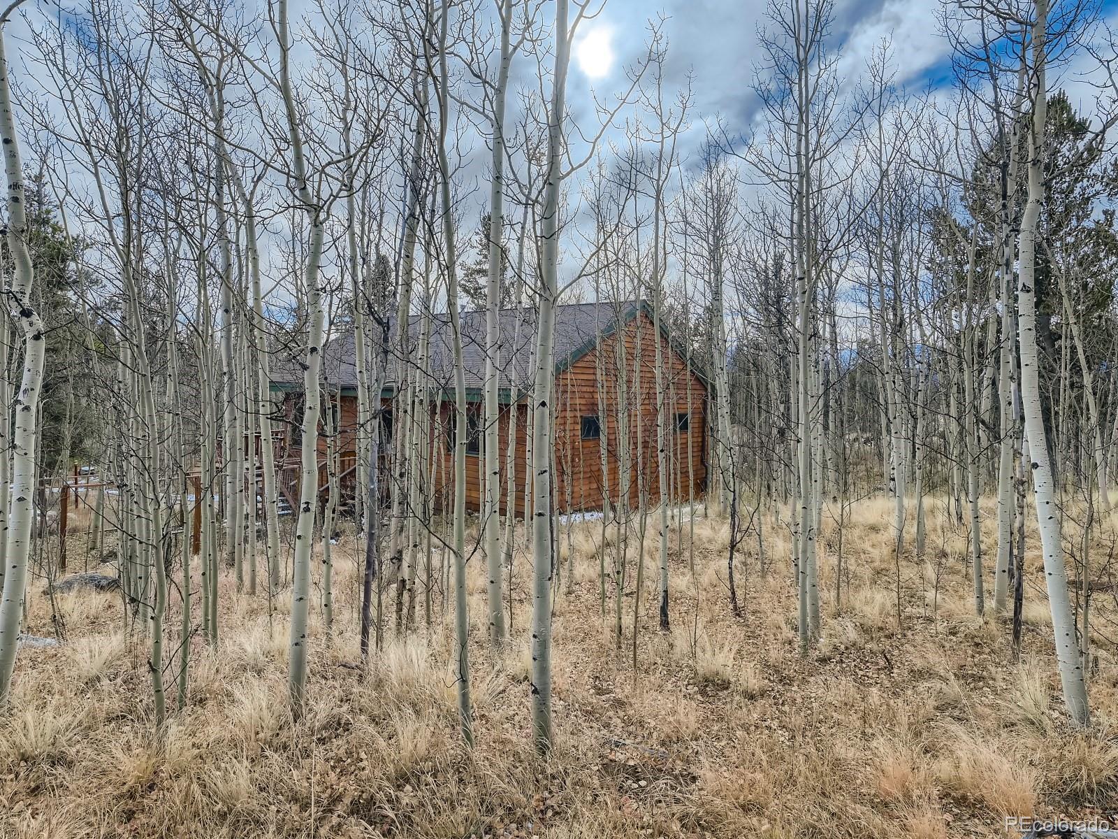 327 Quarry Road Fairplay, CO 80440 - Photo 21 of 28 Gallery Image 21