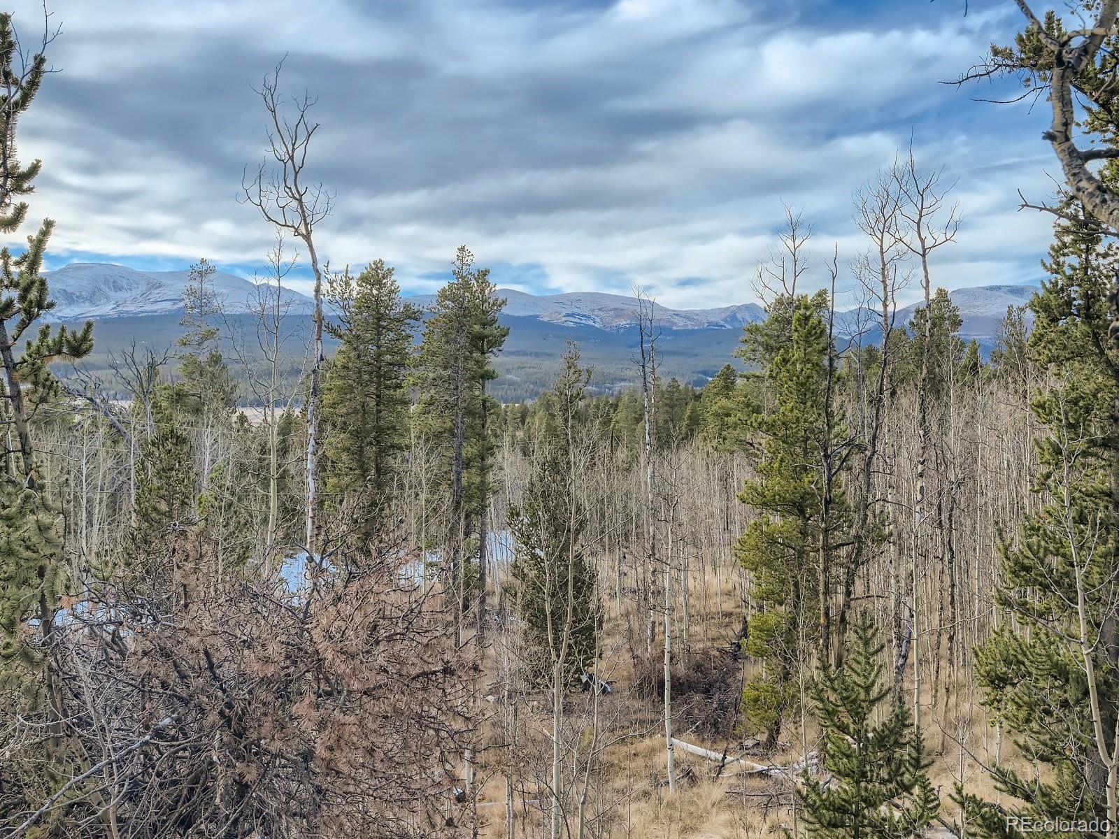 327 Quarry Road Fairplay, CO 80440 - Photo 26 of 28 Gallery Image 26