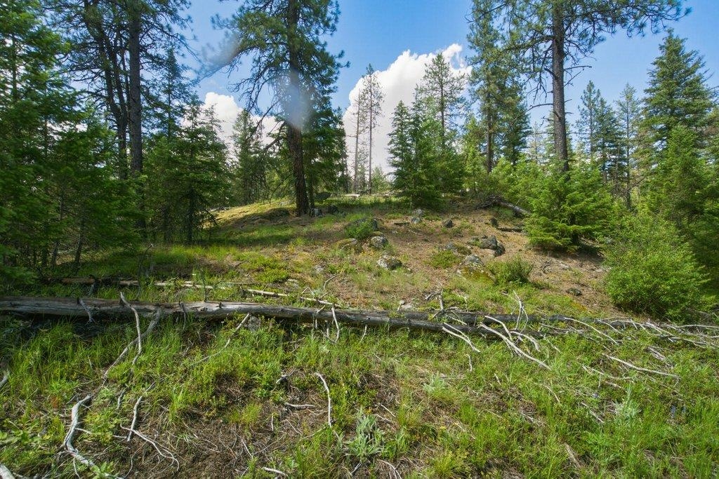 1301 Veit Road Newport, WA 99156 - Photo 16 of 33