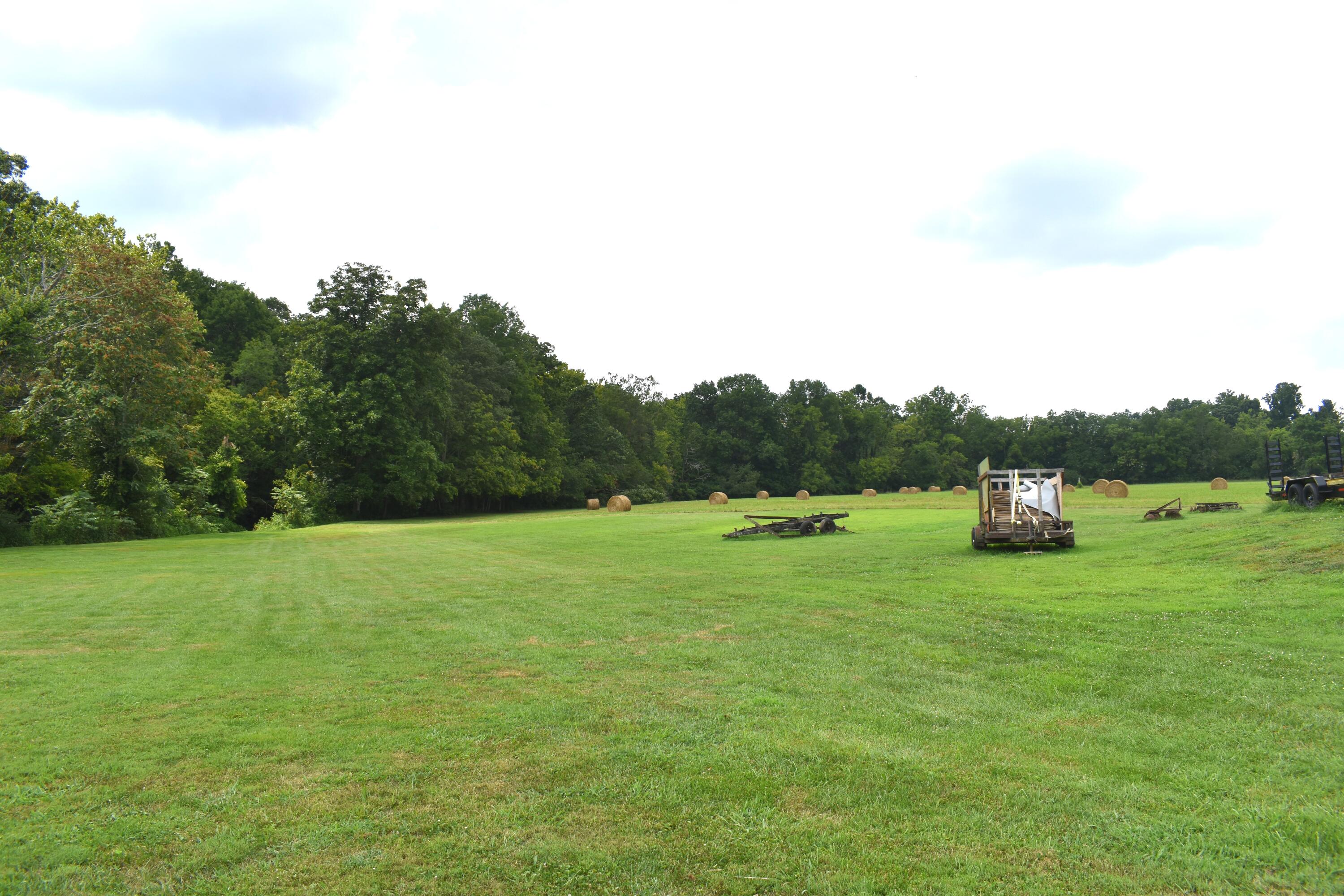 5591 Tates Creek Road Nicholasville, KY 40356 - Photo 14 of 69 DSC_0598