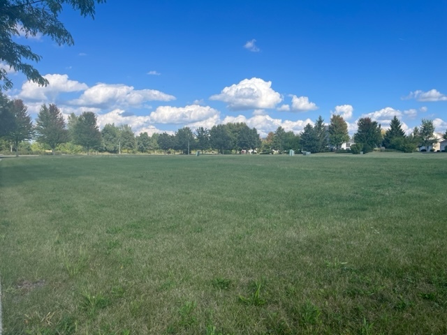 a view of field with trees in the background