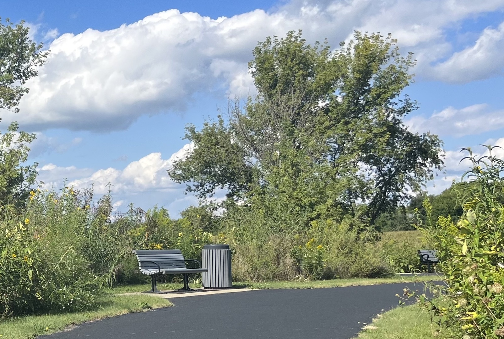 1340 Cornell Circle Sugar Grove, IL 60554 - Photo 5 of 8 a view of a sink in front of a house