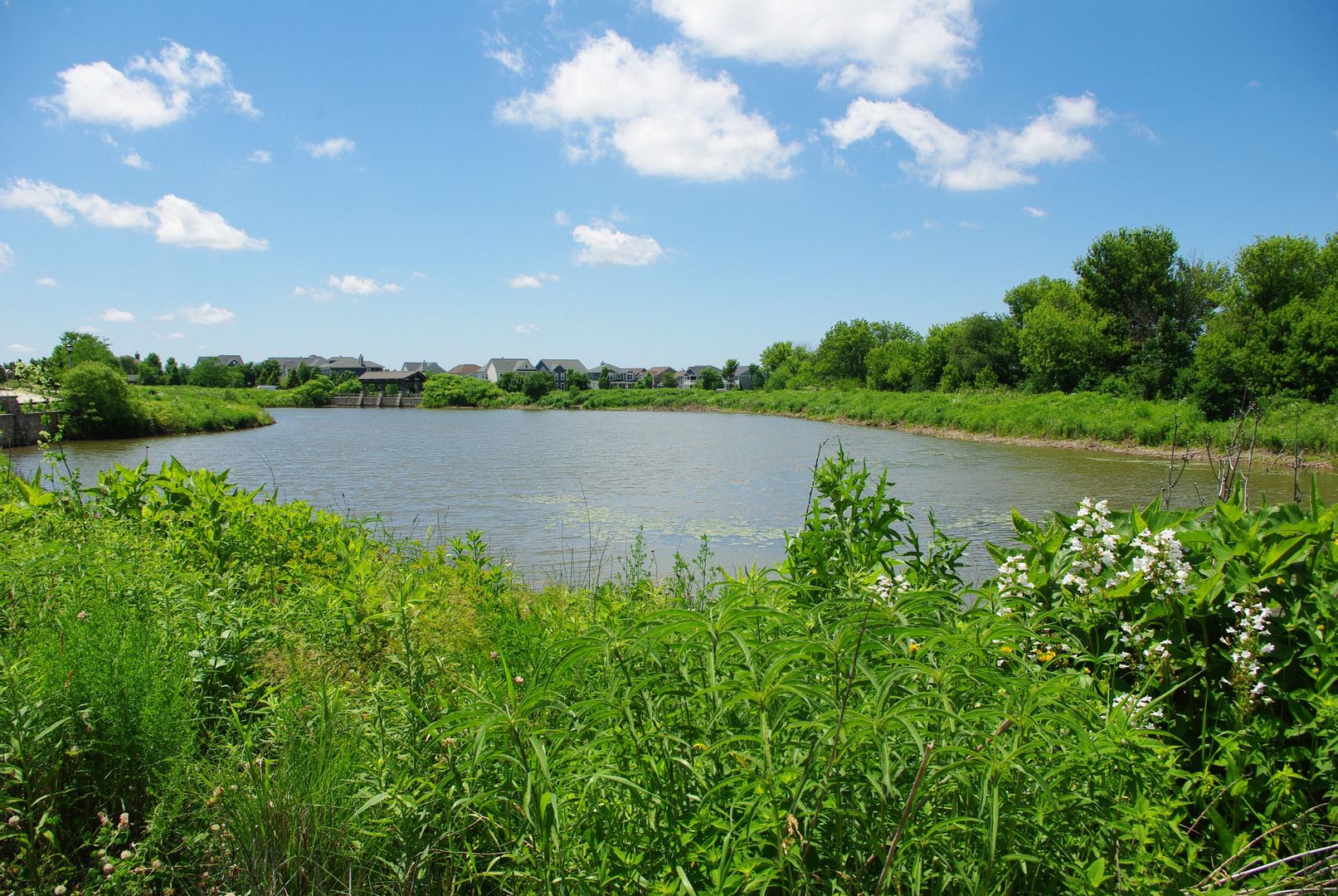 1340 Cornell Circle Sugar Grove, IL 60554 - Photo 8 of 8 a view of a lake with a city