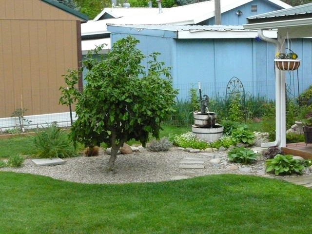 40416 Evan Road Loon Lake, WA 99148 - Photo 14 of 20 Gallery Image 14