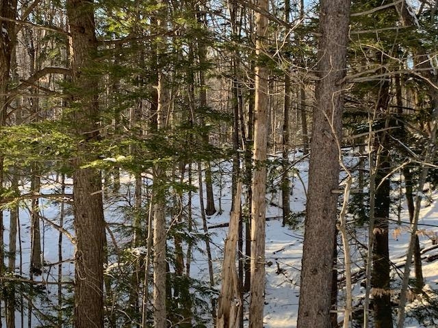1579 Middletown Road Andover, VT 05143 - Photo 1 of 15