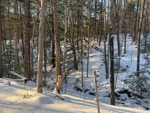 1579 Middletown Road Andover, VT 05143 - Photo 3 of 15
