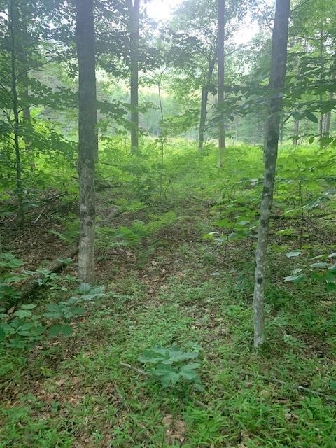 1579 Middletown Road Andover, VT 05143 - Photo 6 of 15