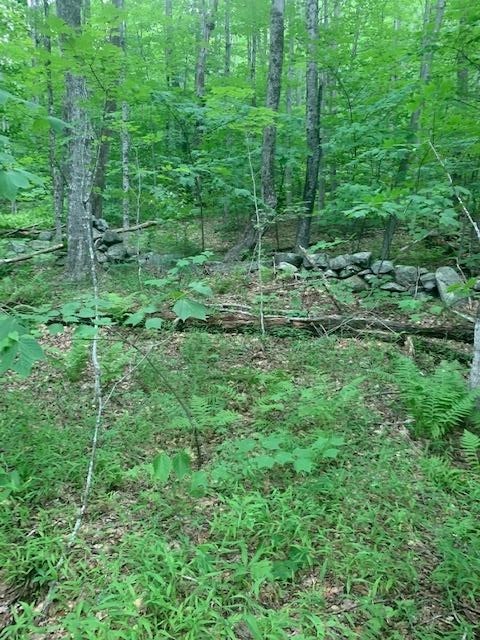 1579 Middletown Road Andover, VT 05143 - Photo 8 of 15