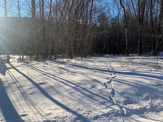 1579 Middletown Road Andover, VT 05143 - Photo 9 of 15